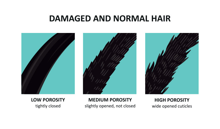 Got damaged hair? Try new hair treatment