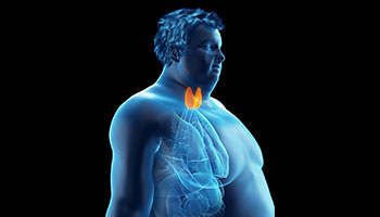thyroid