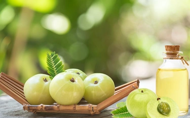 Top 5 Amla Recipes For Hair Growth