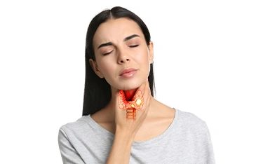 Effects of thyroid on other body systems