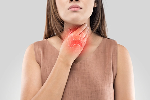 Effects of thyroid on other body systems