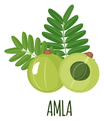 Top 5 amla recipes for hair growth