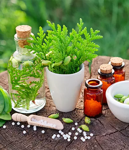 Homeopathy: Best treatment for monsoon diseases