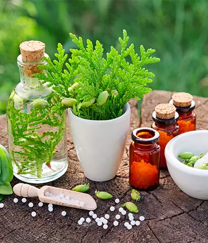 Importance of customized homeopathy treatment