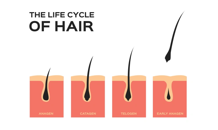 How do the monsoons affect hair care?