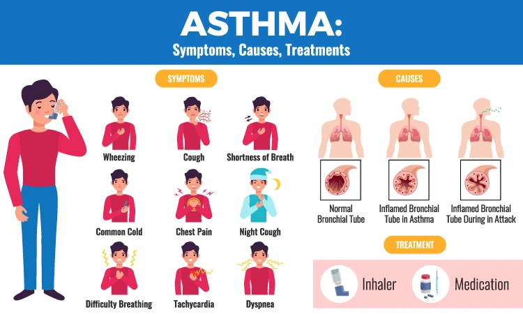 Childhood Asthma vs. Adult-Onset Asthma 