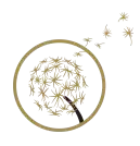 allergy