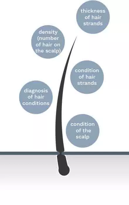 mbd_diagnosis