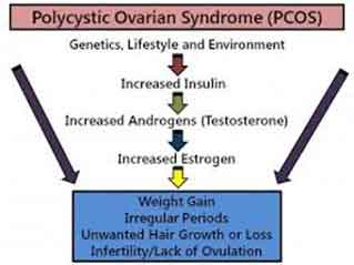 pcos-1