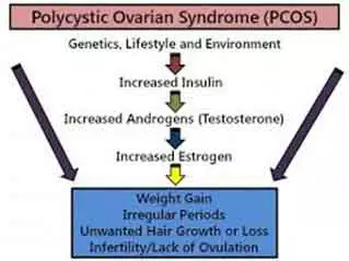 pcos-1