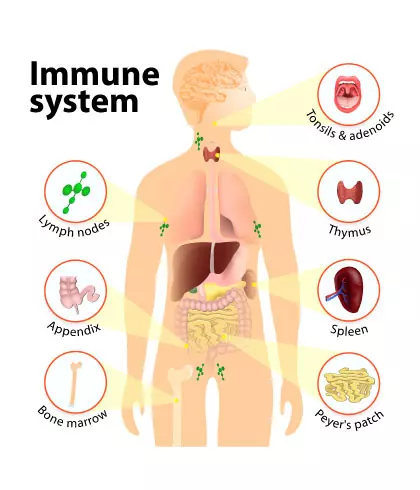 Homeopathy for Immunity