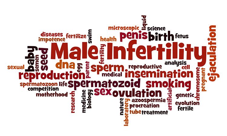 Causes for Infertility in a Man | Dr. Batra's