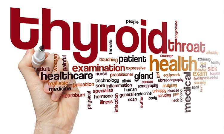 Importance of Nutrients for Normal Thyroid Gland