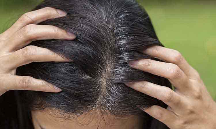 How Stress Causes the Greying of Hair in Humans: Study | The Swaddle