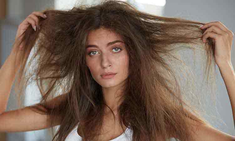 My hair is coarse and dry, breaking, brittle My hair is coarse and dry, breaking, brittle