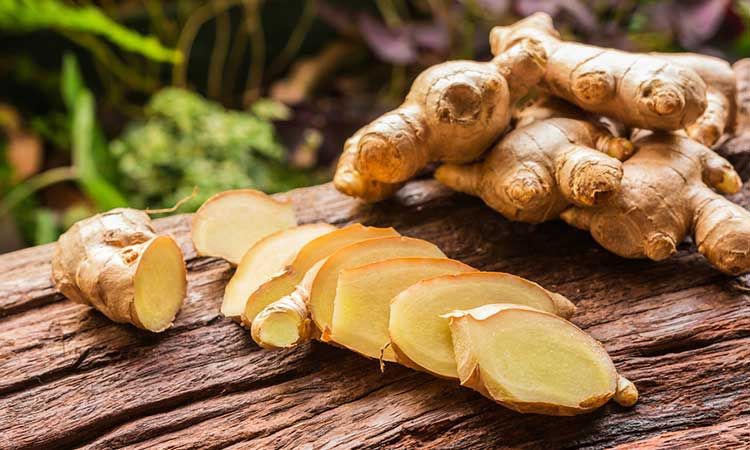 BENEFITS OF GINGER