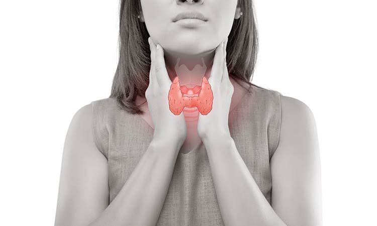 Effects of thyroid on 12 functions of the body