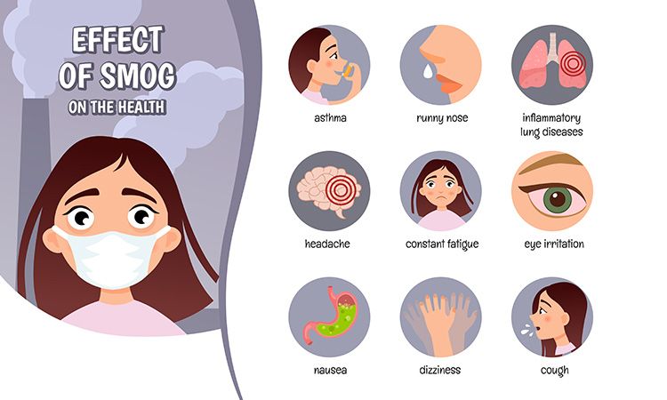 Air allergy online