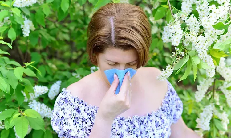 Homeopathy: A holistic solution for your allergy rhinitis