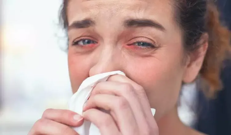 HOMEOPATHY DOCTORS - WARRIORS AGAINST ALLERGIC RHINITIS