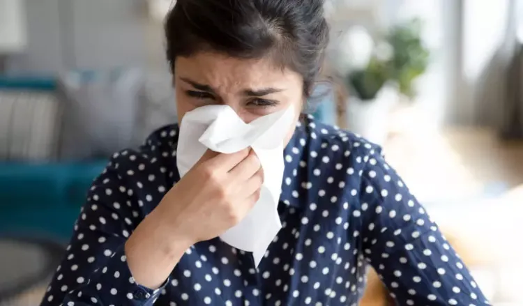 All You Need To Know About Allergic Rhinitis