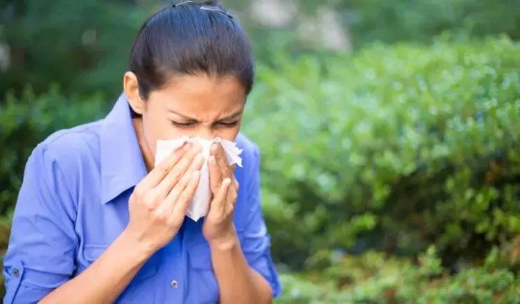 Does Air Quality Affect Your Allergic Rhinitis?