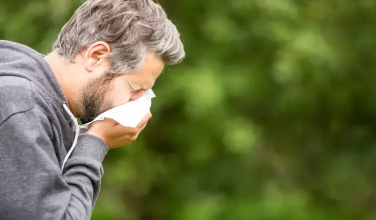 Treat your allergies with homeopathy