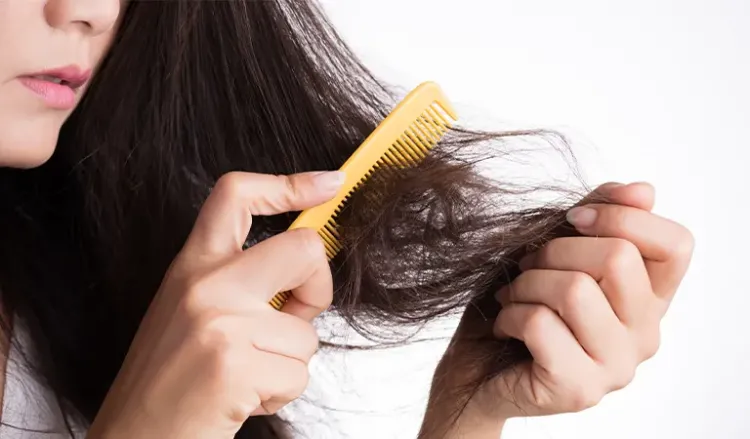 Try Homeopathic hair treatment for damaged hairline- Dr. Batra's® Try Homeopathic hair treatment for damaged hairline- Dr. Batra's®