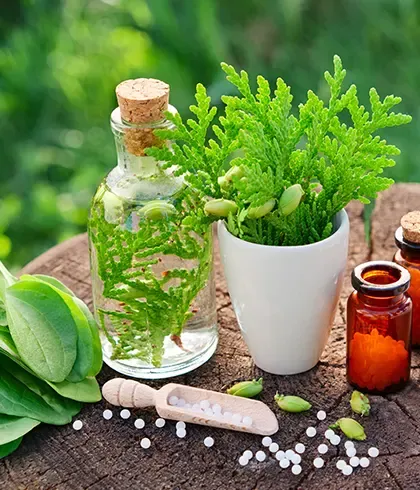 Common myths about homeopathy