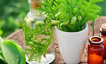 Common myths about homeopathy