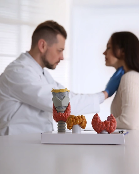 Comprehensive Assessment