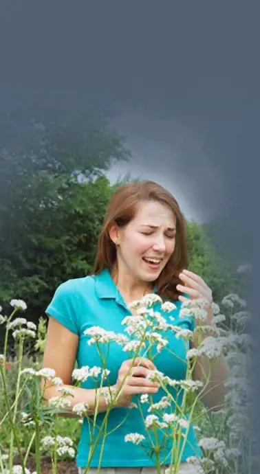 Hay Fever Evaluation Test - Desktop