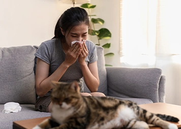 Mixed Allergic Rhinitis