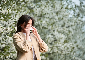 Perennial Allergic Rhinitis
