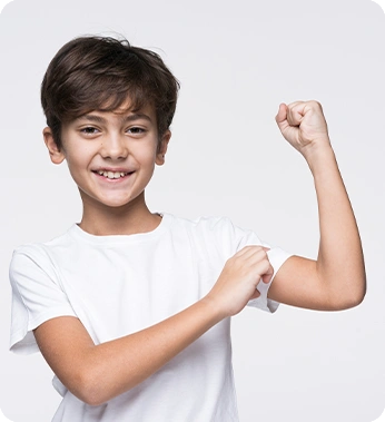 Banner Model