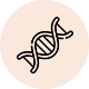 Genetic & family factors - Inherited risk