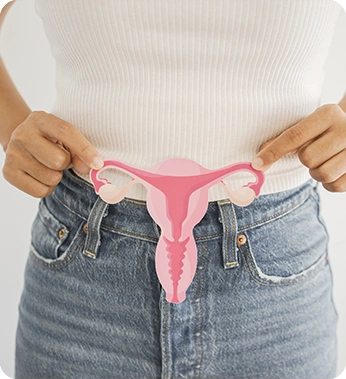 Banner Model
